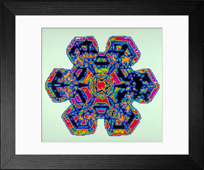 Framed Print : Snowflake Framed Print : Snowflake
