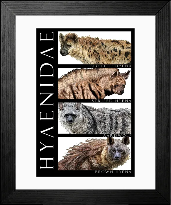 Framed Print : Hyenas of Africa