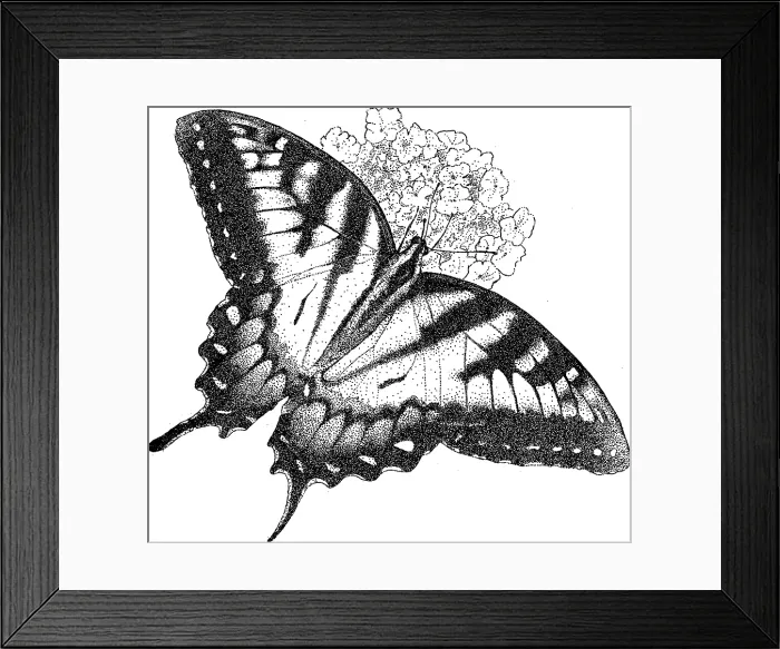 Framed Print : Eastern Tiger Swallowtail Butterfly