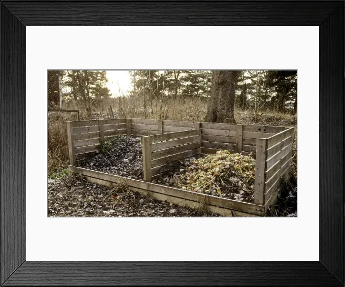 Framed Print : Home Compost Framed Print : Home Compost