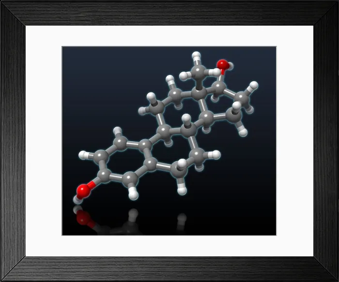 Framed Print : Estradiol Molecular Model Framed Print : Estradiol Molecular Model