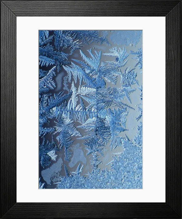 Framed Print : Frost Crystals
