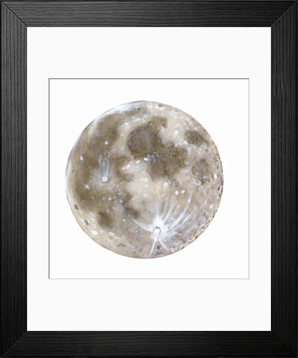 Framed Print : Moon. Illustration of the moon Framed Print : Moon. Illustration of the moon