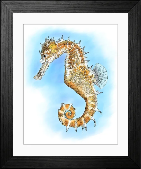 Framed Print : Thorny Seahorse Framed Print : Thorny Seahorse