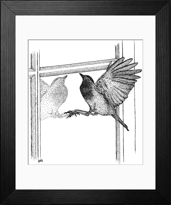 Framed Print : Bird Hitting Window Framed Print : Bird Hitting Window