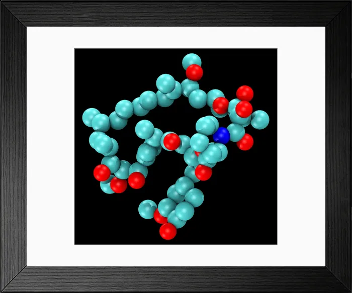 Framed Print : Sirolimus (Rapamycin), Molecular Model