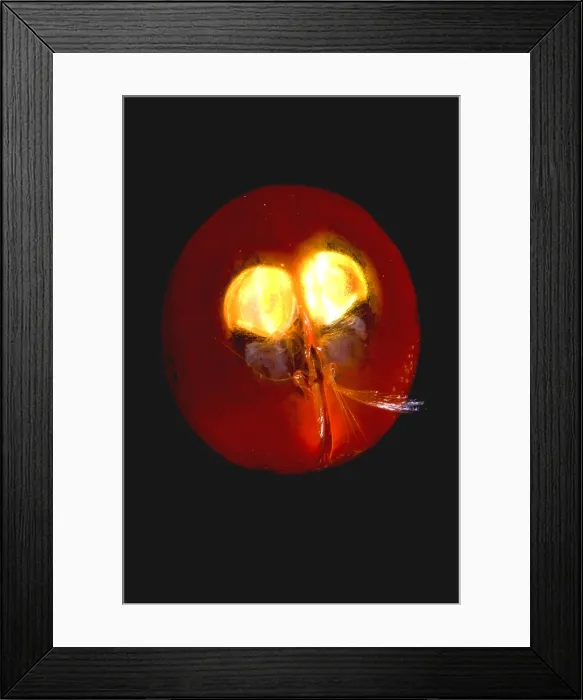 Framed Print : Giant Ostracod Framed Print : Giant Ostracod