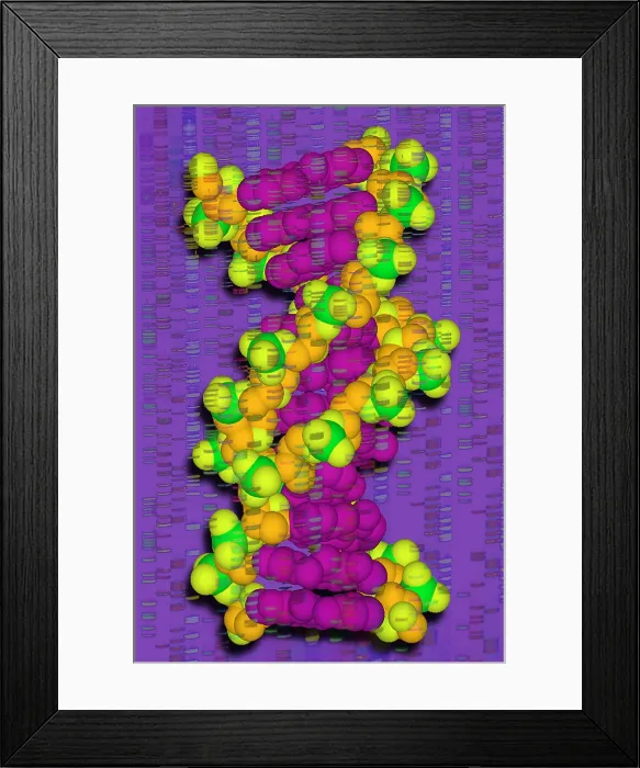Framed Print : DNA with autoradiograph Framed Print : DNA with autoradiograph