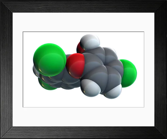 Framed Print : Triclosan. A molecular model of triclosan, an antibacterial Framed Print : Triclosan. A molecular model of triclosan, an antibacterial