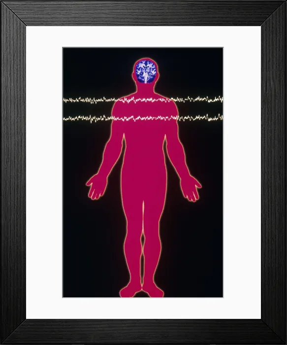 Framed Print : Normal EEG Framed Print : Normal EEG
