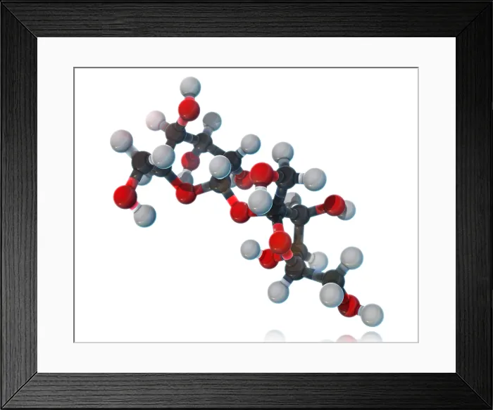 Framed Print : Sucrose, Molecular Model Framed Print : Sucrose, Molecular Model