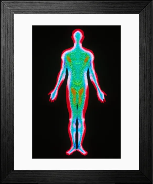 Framed Print : Human Body Framed Print : Human Body