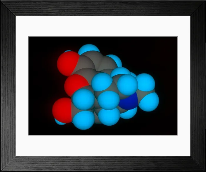 Framed Print : Molecular Model of Morphine Framed Print : Molecular Model of Morphine