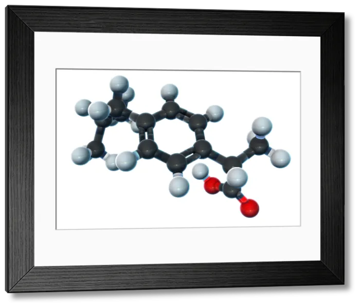 Framed Print : Ibuprofen, Molecular Model Framed Print : Ibuprofen, Molecular Model