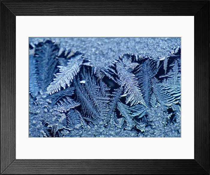 Framed Print : Frost Crystals Framed Print : Frost Crystals
