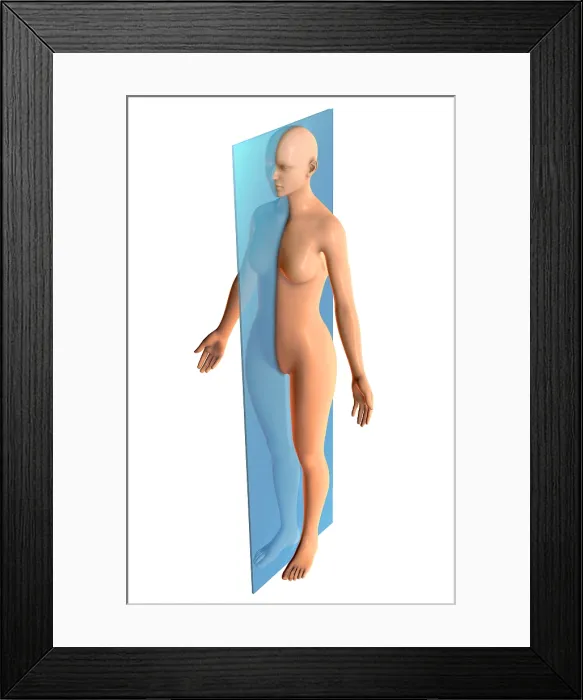 Framed Print : Sagittal Plane, Illustration Framed Print : Sagittal Plane, Illustration