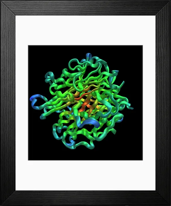 Framed Print : RANKL, Model Framed Print : RANKL, Model