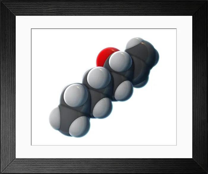Framed Print : Octenol, Molecular Model Framed Print : Octenol, Molecular Model