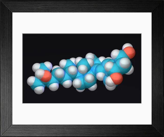 Framed Print : Calcitriol Framed Print : Calcitriol