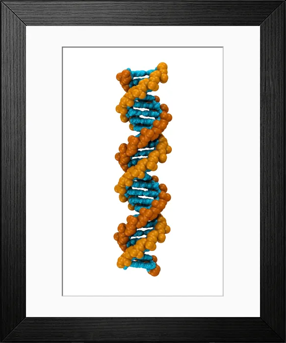 Framed Print : 3D DNA Molecule Framed Print : 3D DNA Molecule