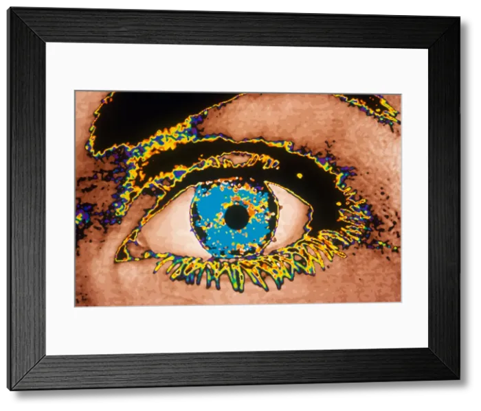 Framed Print : Woman's Eye Framed Print : Woman's Eye