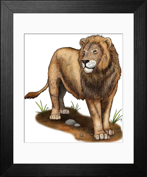 Framed Print : American Lion (Extinct), Illustration Framed Print : American Lion (Extinct), Illustration