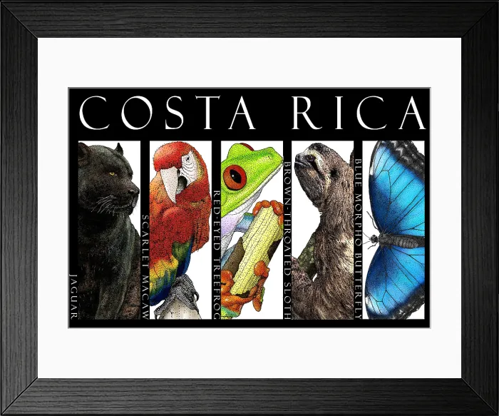 Framed Print : Animals of Costa Rica, Poster Framed Print : Animals of Costa Rica, Poster