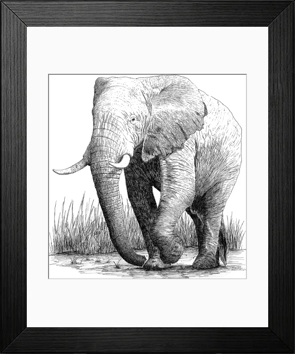 Framed Print : African Elephant Framed Print : African Elephant