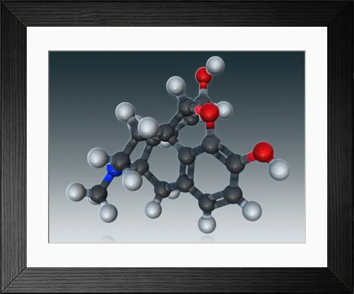 Framed Print : Morphine Molecular Model Framed Print : Morphine Molecular Model