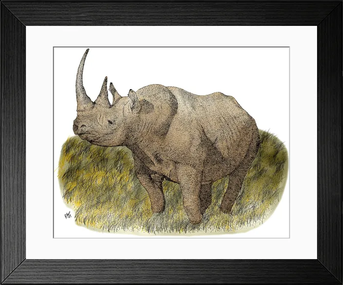 Framed Print : Black Rhineceros Framed Print : Black Rhineceros