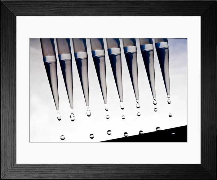 Framed Print : Pipettes Collecting Samples Framed Print : Pipettes Collecting Samples