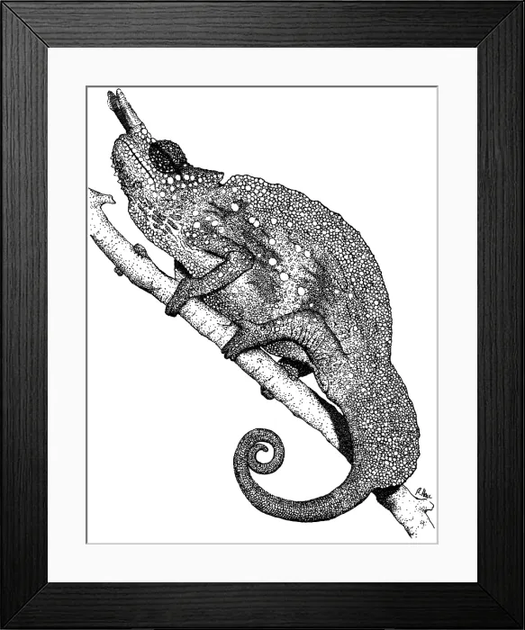 Framed Print : Horned Chameleon Framed Print : Horned Chameleon