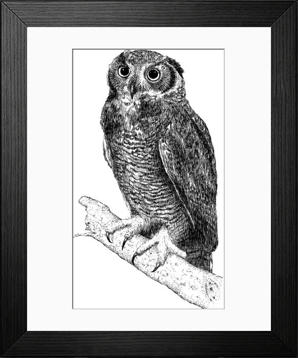 Framed Print : Great Horned Owl Framed Print : Great Horned Owl