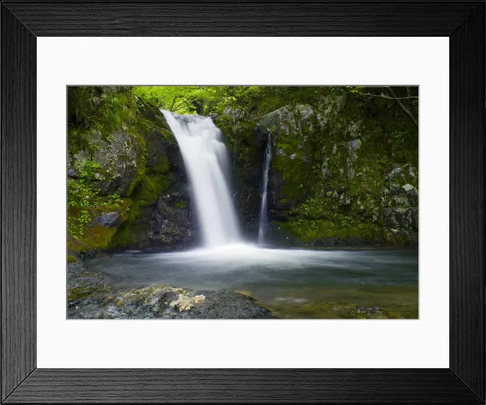 Framed Print : Andrias Habitat