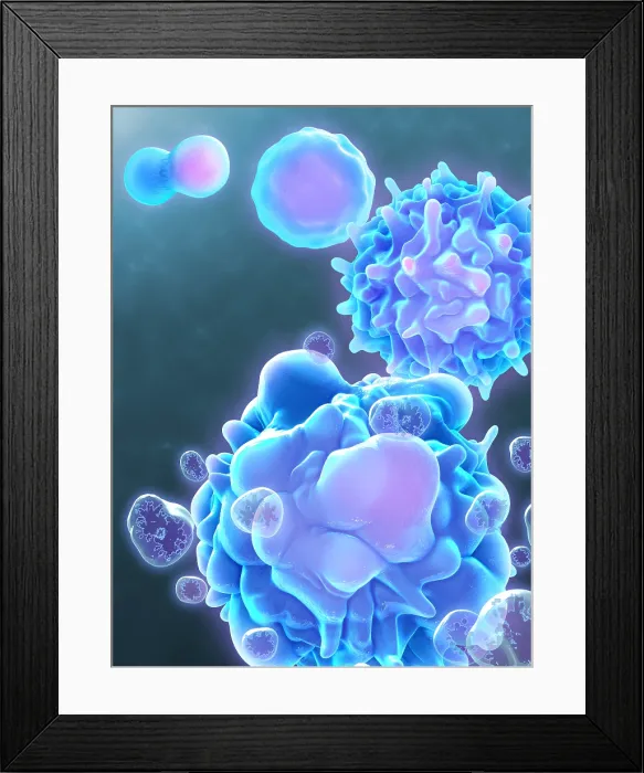 Framed Print : Cell Life Cycle