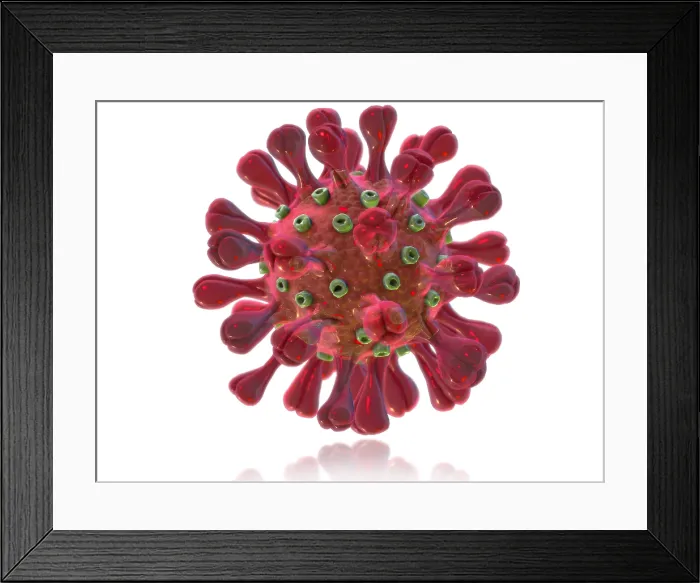 Framed Print : MERS Coronavirus Framed Print : MERS Coronavirus