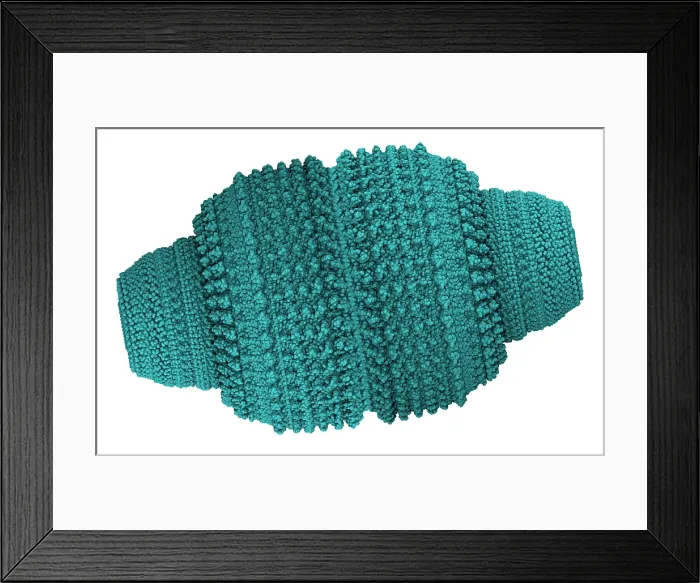Framed Print : Vault Cytoplasmic Ribonucleoprotein Framed Print : Vault Cytoplasmic Ribonucleoprotein