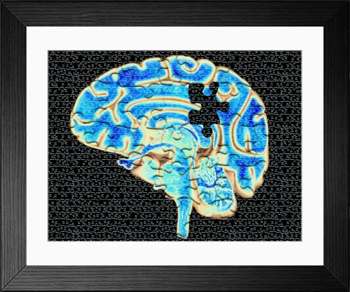Framed Print : Brain Puzzle Framed Print : Brain Puzzle