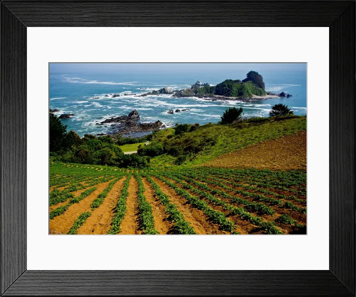 Framed Print : Habitat Alteration Framed Print : Habitat Alteration