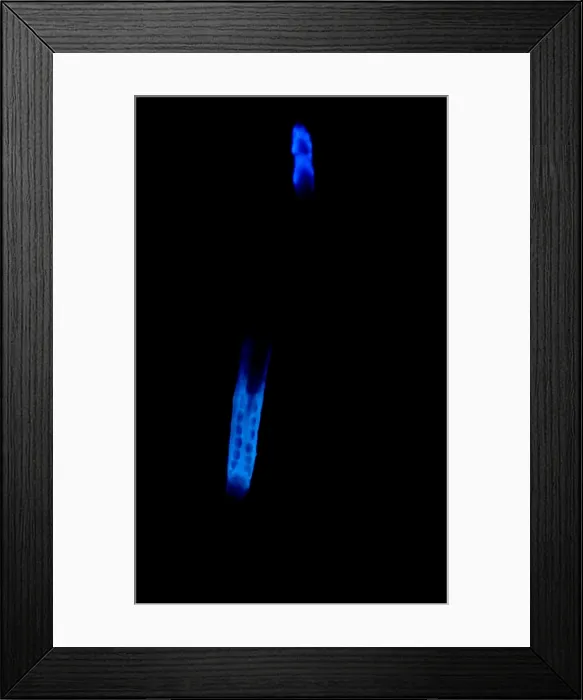 Framed Print : Glowworm. A variety of invertebrates go by the name of glowworm Framed Print : Glowworm. A variety of invertebrates go by the name of glowworm