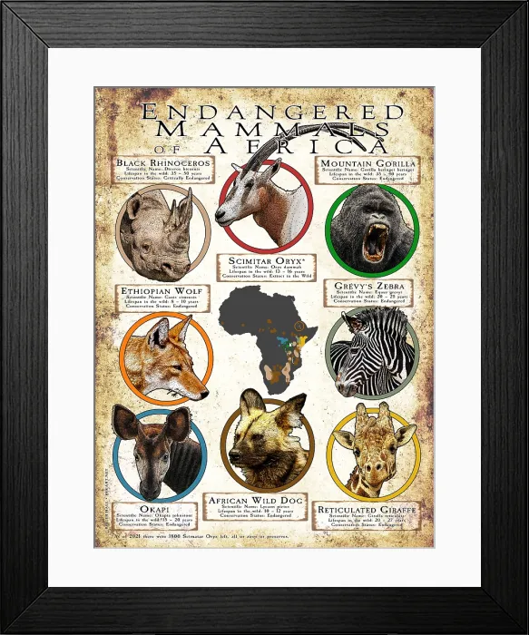 Framed Print : Endangered Mammals of Africa