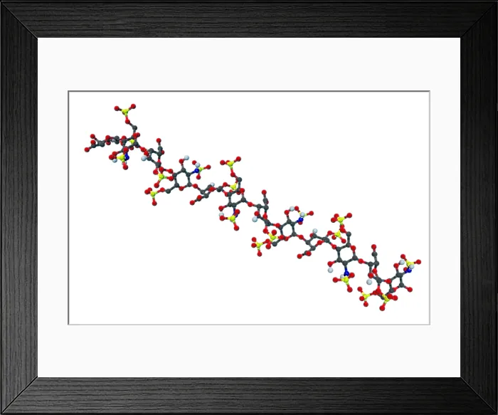 Framed Print : Heparin, Molecular Model Framed Print : Heparin, Molecular Model