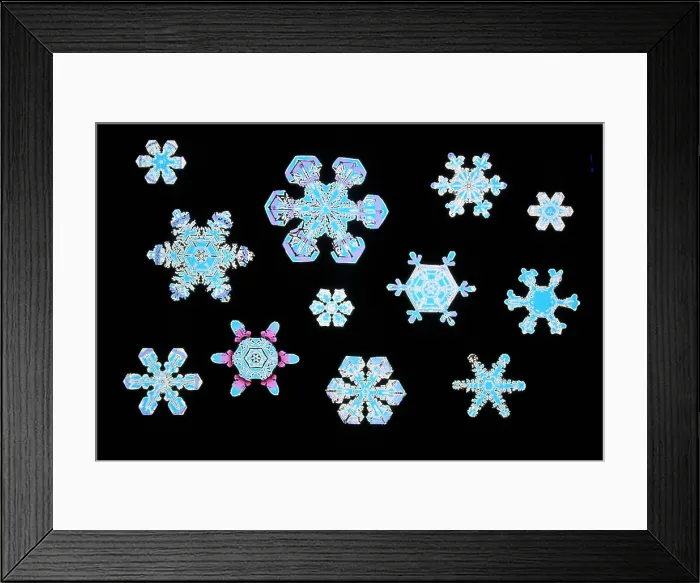 Framed Print : Snowflakes Framed Print : Snowflakes