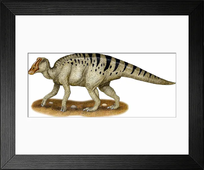 Framed Print : Duck-billed Dinosaur Framed Print : Duck-billed Dinosaur