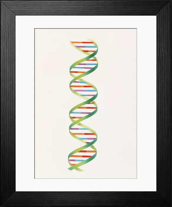 Framed Print : DNA double helix Framed Print : DNA double helix