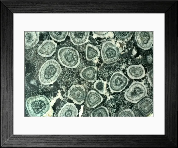 Framed Print : Orbicular Diorite