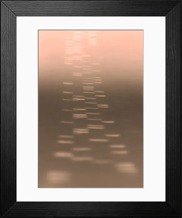 Framed Print : DNA sequencing