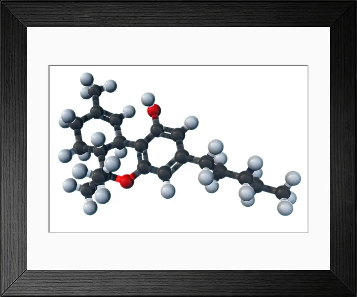 Framed Print : THC Molecular Model Framed Print : THC Molecular Model