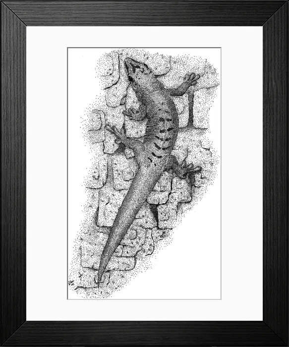 Framed Print : Giant Day Gecko Framed Print : Giant Day Gecko