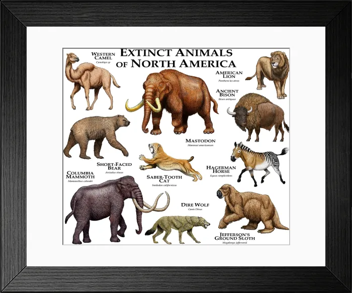 Framed Print : Extinct Animals of North America Framed Print : Extinct Animals of North America